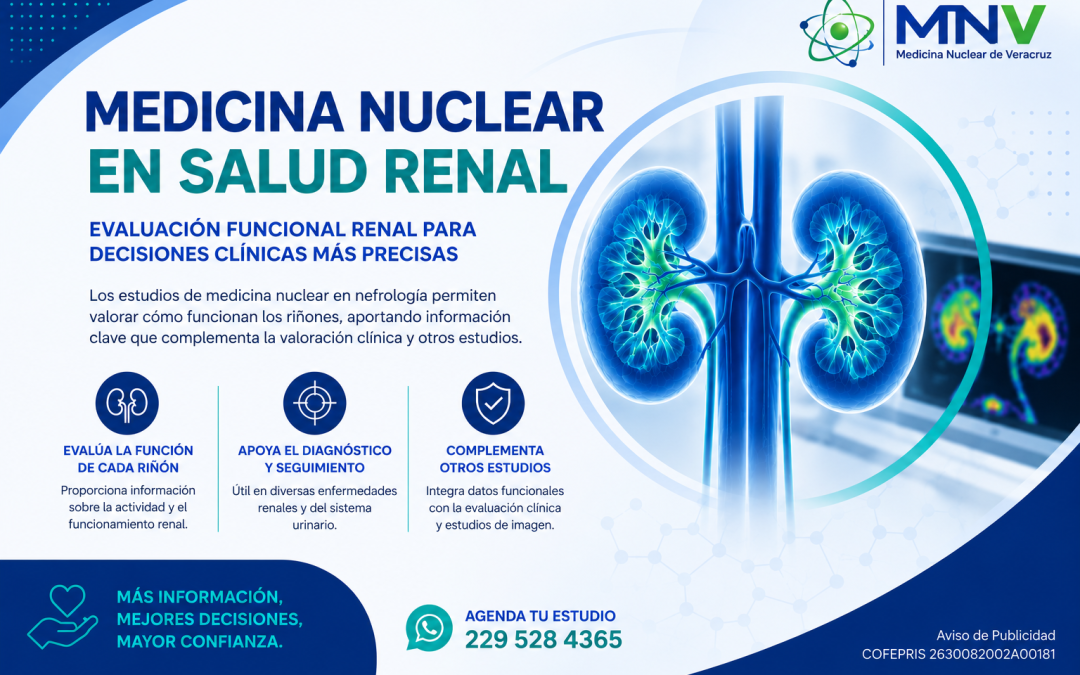 Medicina nuclear y salud renal: conocer cómo funcionan los riñones